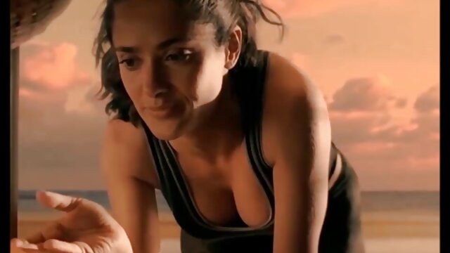 XXX sem registo  Ele perfurou video orno hd os membros do gato e começou a esticar bem