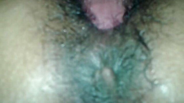 XXX sem registo  Lara. melhores porno brasileiro hd
